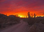 Sunset, Ajo, AZ