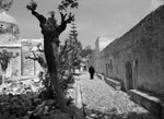 Odigitrias Monastery, Crete. Cris Pulos