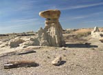 Petrified Beast, Bisti Wilderness, NM